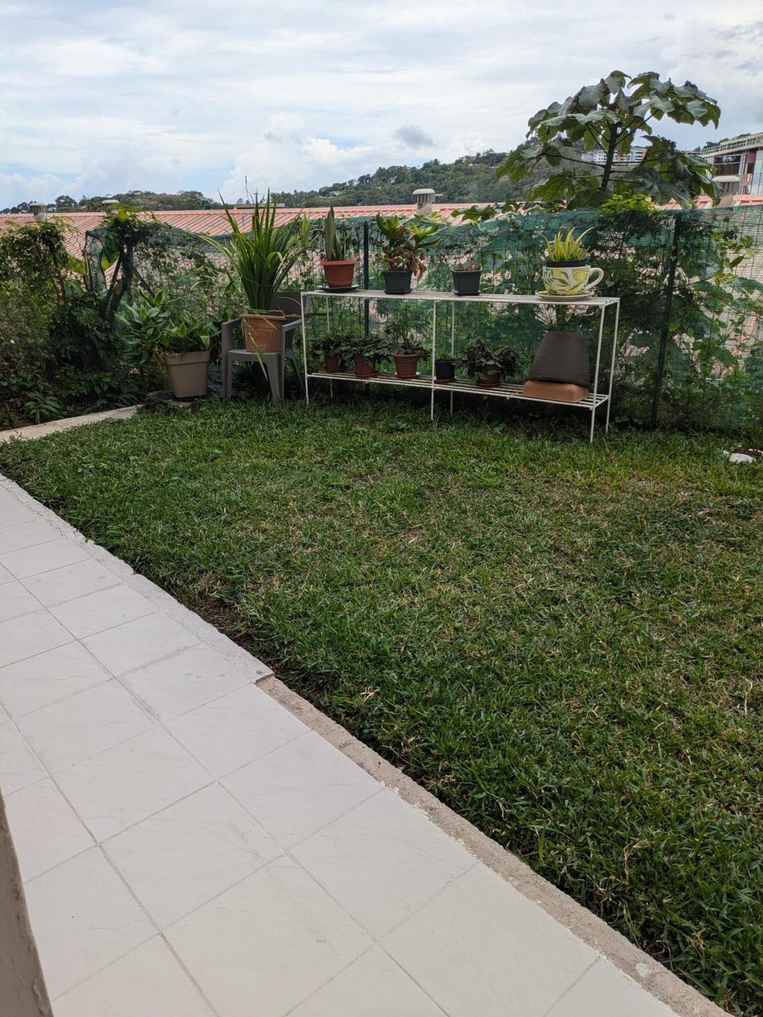 N'Jok Papeete Apartment Papeete  Exterior foto